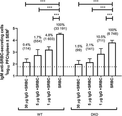 IgG Suppresses Antibody Responses to Sheep Red Blood Cells in Double Knock-Out Mice Lacking Complement Factor C3 and Activating Fcγ-Receptors